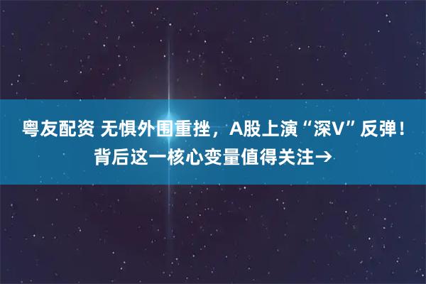 粤友配资 无惧外围重挫，A股上演“深V”反弹！背后这一核心变量值得关注→