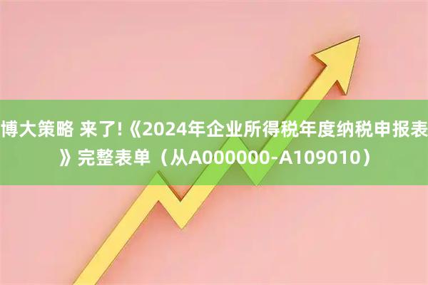 博大策略 来了!《2024年企业所得税年度纳税申报表》完整表单（从A000000-A109010）
