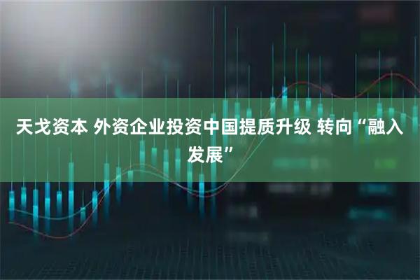 天戈资本 外资企业投资中国提质升级 转向“融入发展”